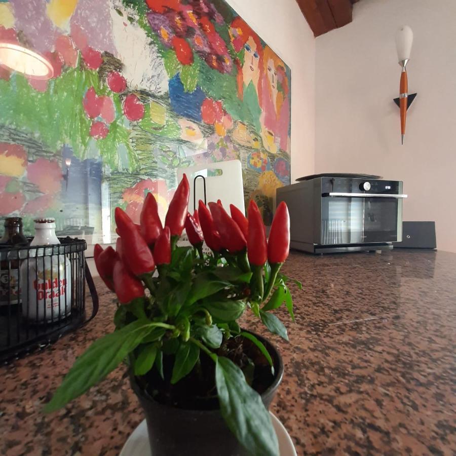 Loft Trabucco - In The Heart Of Salo City Center, Lake View, 4 Rooms Buitenkant foto